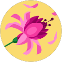 Flor Flores